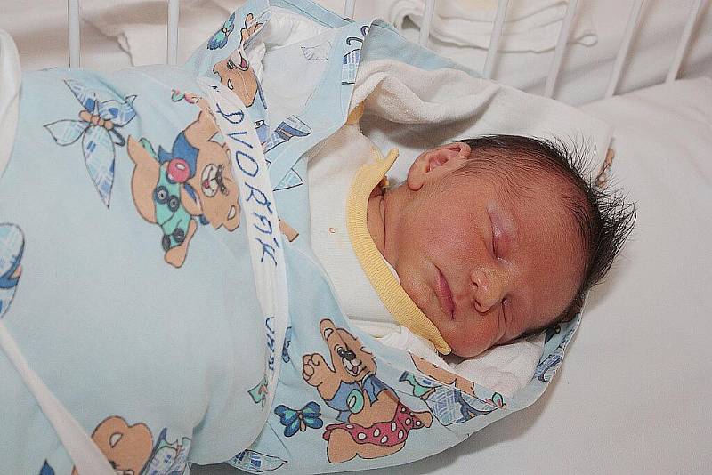 Vojtěše a Josefovi Dvořákovým z Kutné Hory se 23. srpna 2010 narodil syn Jan Dvořák. Měřil 50 centimetrů a vážil 3390 gramů. Doma na něj čeká čtyřletá sestra Natálie.