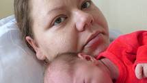 Silvie Čížková se narodila 13. ledna 2021 v kolínské porodnici, vážila 2960 g a měřila 50 cm. V Kořenicích bude vyrůstat s maminkou Denisou a tatínkem Rostislavem.