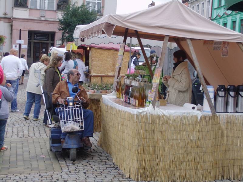 Řemeslný trh na Karlově náměstí v Kolíně, 13. září 2012