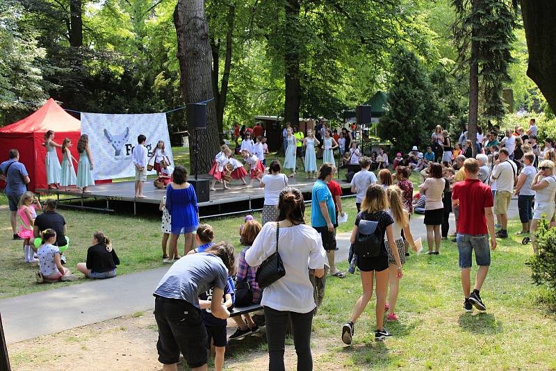 V sobotu se u pivovarského rybníka v Českém Brodě konal festival neziskových organizací.