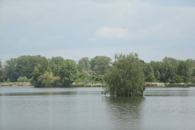 Písník Sandberk u Kolína.