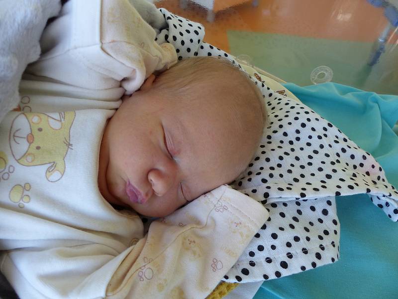 Štěpánka Zdeňková se narodila 11. října 2019 v kolínské porodnici, vážila 3385 g a měřila 50 cm. Ve Zbraslavicích se z ní těší bráška Filípek (3) a rodiče Veronika a Stanislav.