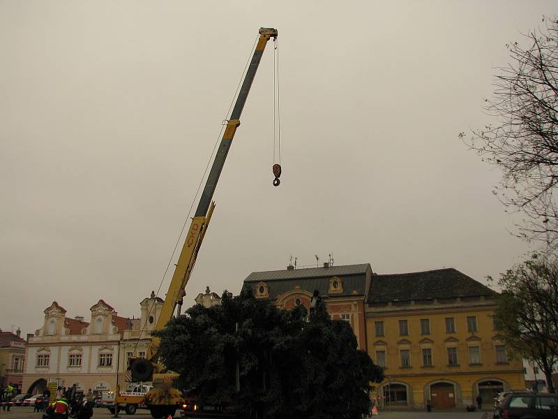 Vánoční strom přicestoval na kolínské náměstí.