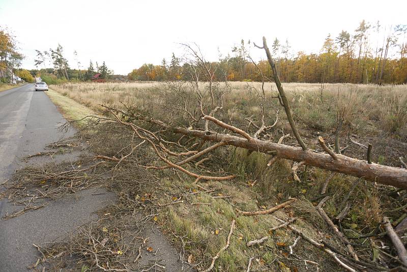 Vyvrácený strom mezi obcemi Jelen a Býchory ve čtvrtek 21. října 2021.