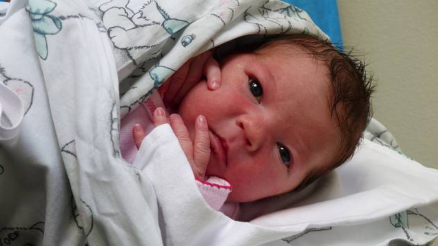 Nela Černohlávková se narodila 16. dubna 2022 v kolínské porodnici, vážila 3305 g a měřila 49 cm. V Kutné Hoře se z ní těší bráška Honzík (6) a rodiče Zdeňka a Jan.