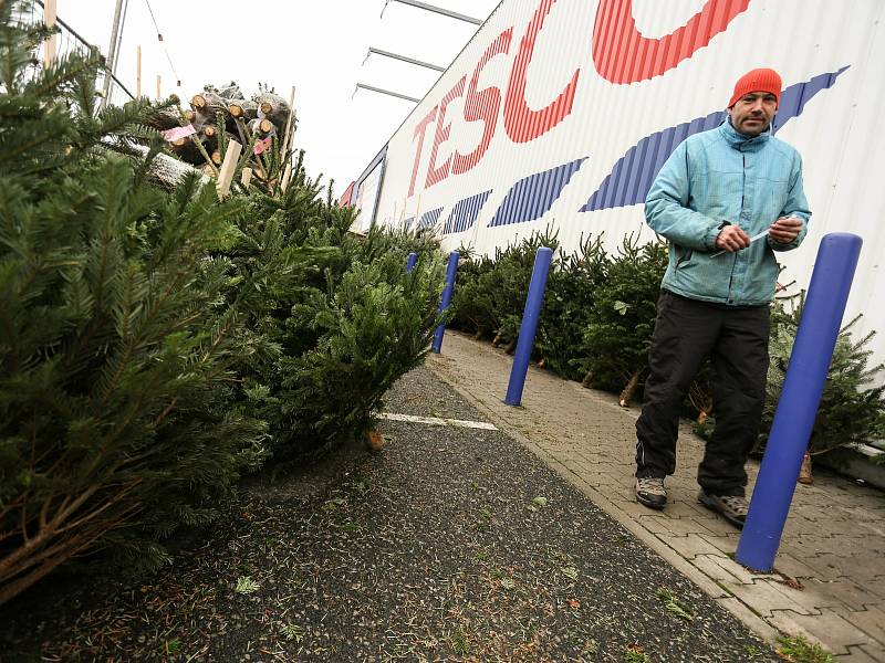 Prodej vánočních stromků a jmelí u hypermarketu Tesco v Kolíně.