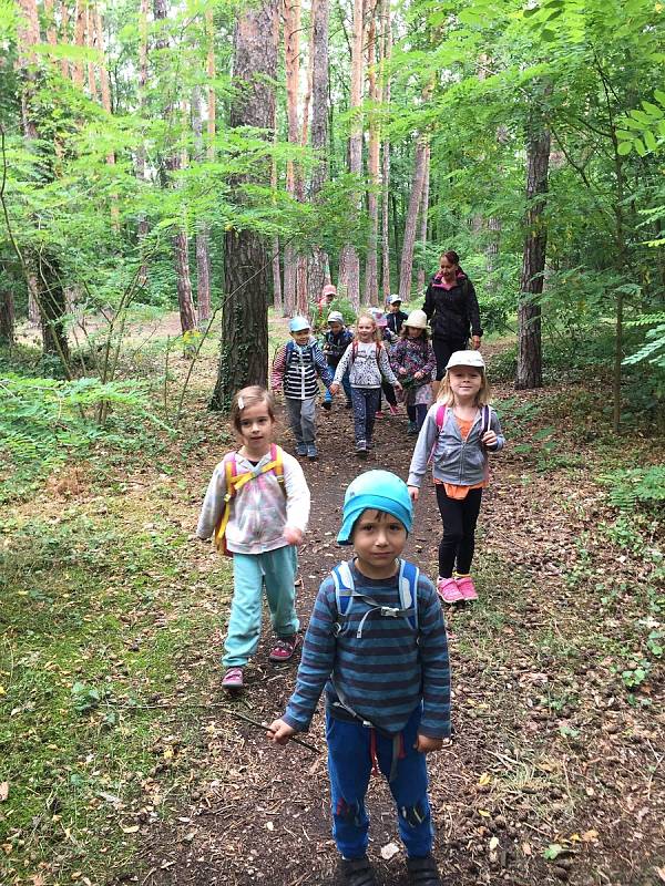 Děti si na táboře Školky v lese, Prostor plus otestovaly své sportovní dovednosti.