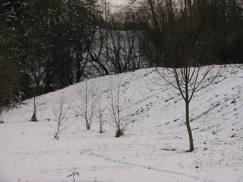 Fotokvíz: Poznáte obec na Kolínsku?