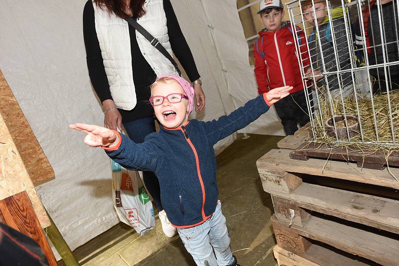 Městský společenský dům -  výstava o životním prostředí duben 2018