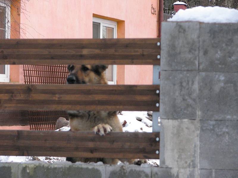 Zima v obci Lošany.