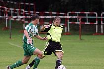 Z přípravného utkání Zásmuky - Bohemians 1905 B (0:3)