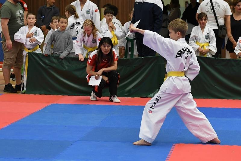 Borci kolínské Taekwondo ITF školy Silla se zúčastnili MČR v Nymburce