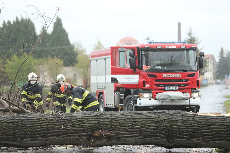 Hasiči likvidují padlý strom u Velimi v neděli 2. května 2021.