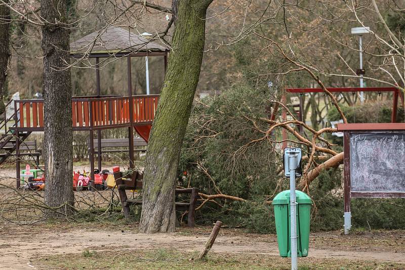 Vichřicí zlomená borovice na dětském hřišti 'U Stapu' v Kolíně.