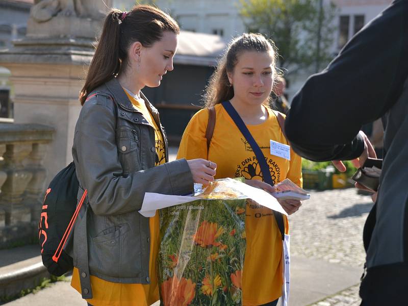 Koupí žluté květiny mohou opět lidé na mnoha místech republiky podpořit boj proti rakovině. Po Kolíně chodí několik dvojic slečen i mladých mužů, kteří květiny nabízí nejen v centru a okolí  náměstí.