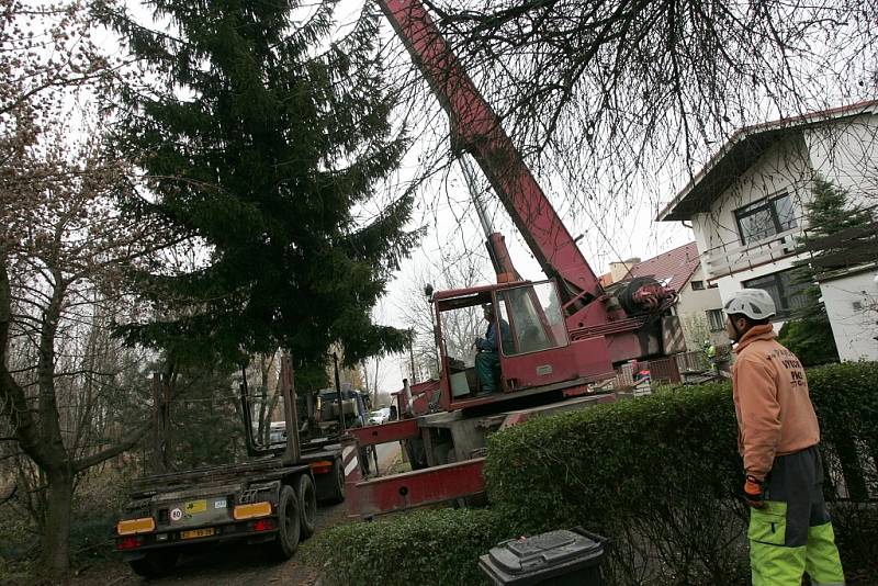 Cesta vánočního stromu na kolínské Karlovo náměstí