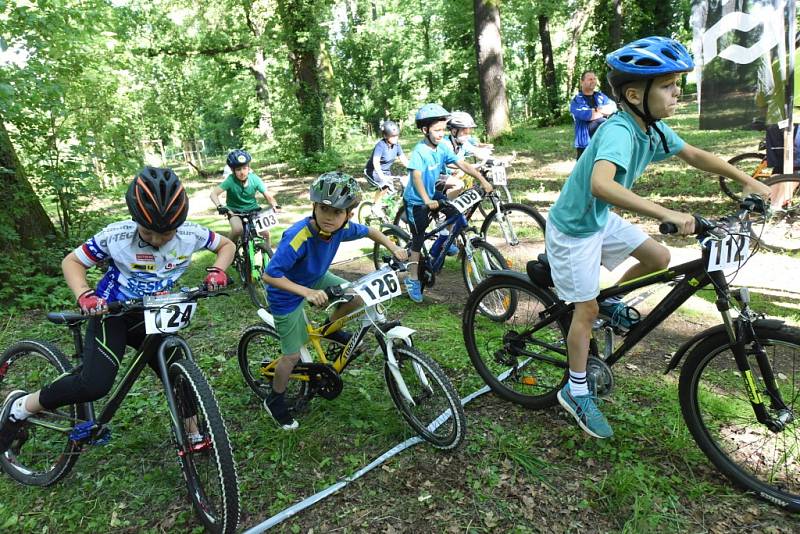 Kolínské sportovní dny ZŠ 2017 - cyklistika.