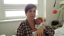 Dominika Švábová se rozplakala 5. dubna 2017. Po porodu se chlubila výškou 54 centimetry a váhou 4110 gramů. Doma na Chmelišti se na ní těšili maminka Lenka, tatínek Roman a sourozenci Jarda (13) a Lenka (17).