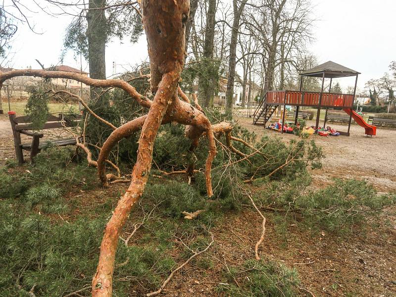 Vichřicí zlomená borovice na dětském hřišti 'U Stapu' v Kolíně.