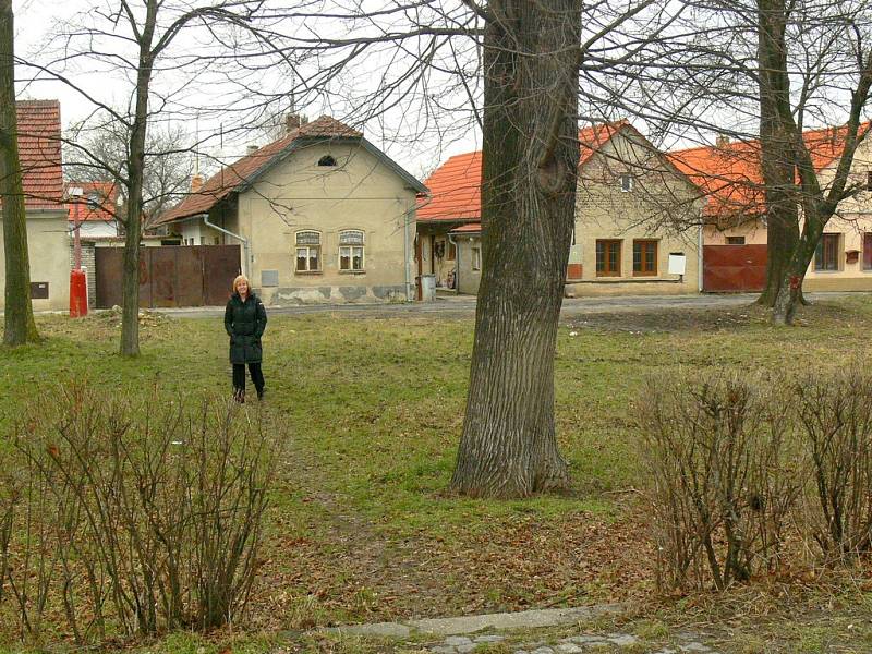 Park Za Sadem projde velkými úpravami