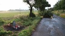 Větrem poničený strom u silnice mezi Chotouní a Českým Brodem.