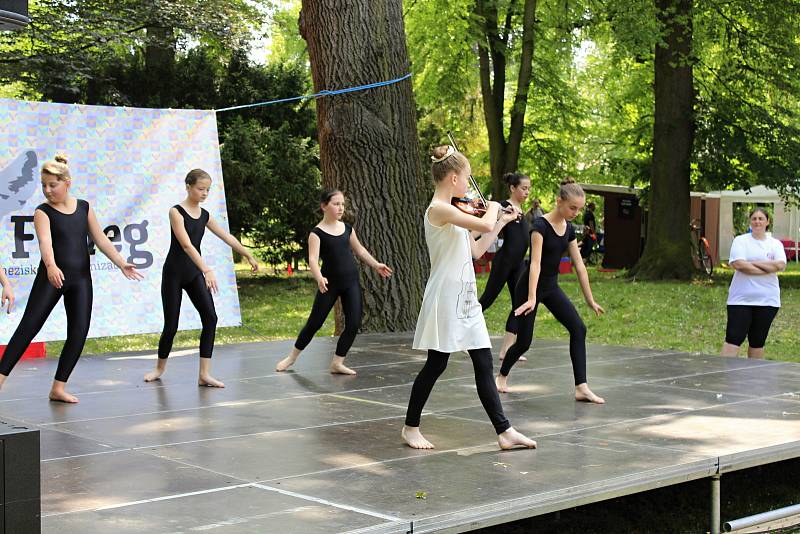 V sobotu se u pivovarského rybníka v Českém Brodě konal festival neziskových organizací.