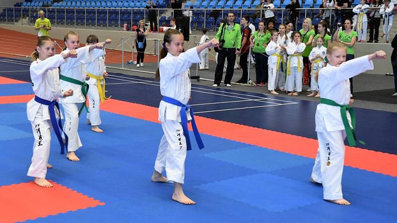 Závodníci kolínské Taekwondo ITF školy Silla skončili třetí na republice