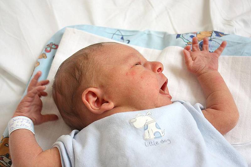 Prvorozený syn Dominik Šimek se 5. března narodil Petře Salačové a Marcelu Šimkovi z Kolína. Vážil 3520gramů a měřil 50centimetrů.