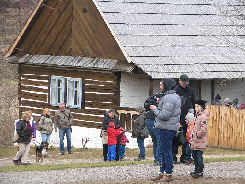 Národopisný pořad na téma lidového masopustu přilákal do skanzenu obrovské množství návštěvníků.