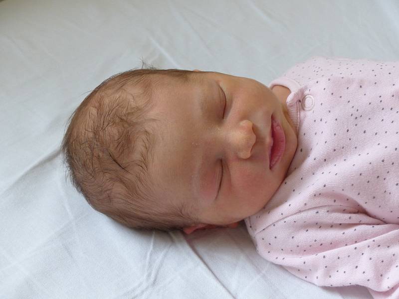Natálie Dejmalová se narodila 2. listopadu 2021 v kolínské porodnici, vážila 3260 g a měřila 51 cm. V Nových Dvorech se z ní těší těší maminka Veronika a tatínek Jiří.