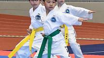 Závodníci kolínské Taekwondo ITF školy Silla skončili třetí na republice
