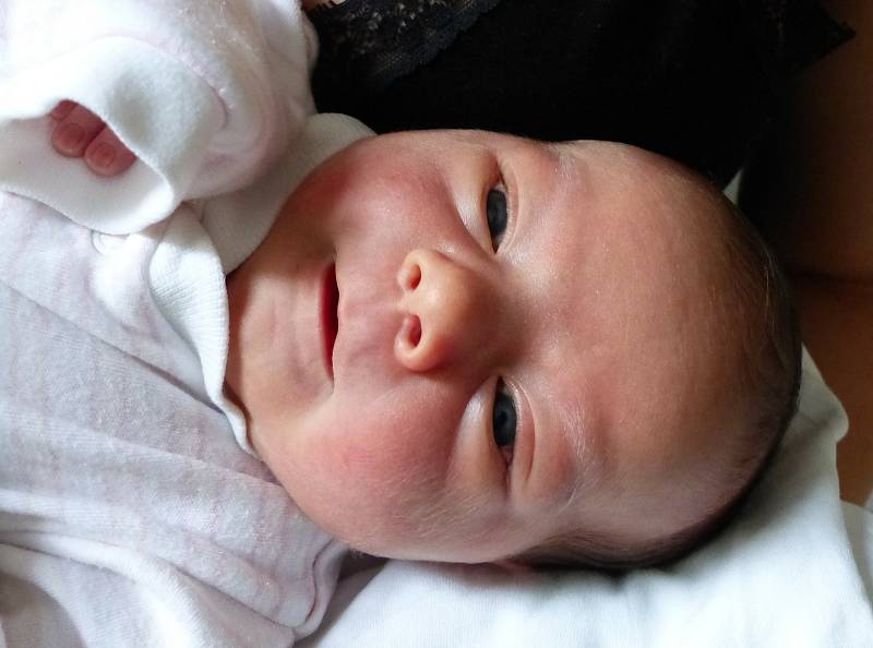 Nela Lonská se narodila 23. srpna 2021 v kolínské porodnici, vážila 3290 g a měřila 49 cm. Do Úmyslovic odjela s maminkou Kristýnou a tatínkem Petrem.