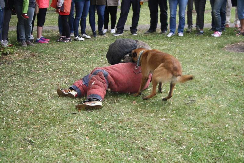 Cerhenice slavily své dobrovolné hasiče.