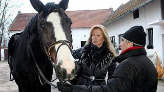 Kateřina Brožová: Koně jsou moje srdeční záležitost - Kolínský deník