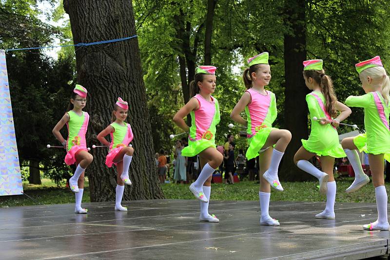 V sobotu se u pivovarského rybníka v Českém Brodě konal festival neziskových organizací.