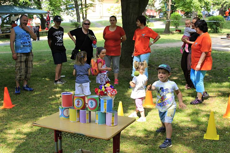 V sobotu se u pivovarského rybníka v Českém Brodě konal festival neziskových organizací.