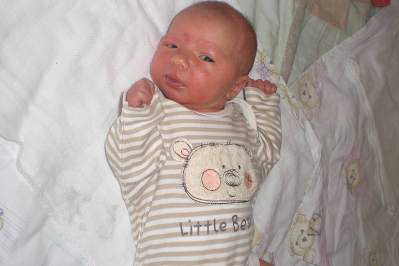 Anička Javorská se narodila 24. května 2013. Po porodu vážila 2950 gramů a měřila 49 centimetrů. Anička má tříletého brášku Vašíka, maminku Květu a tatínka Vaška. Doma v Kolíně na ni kromě již zmíněných čekala také kočička Sissinka a rybičky