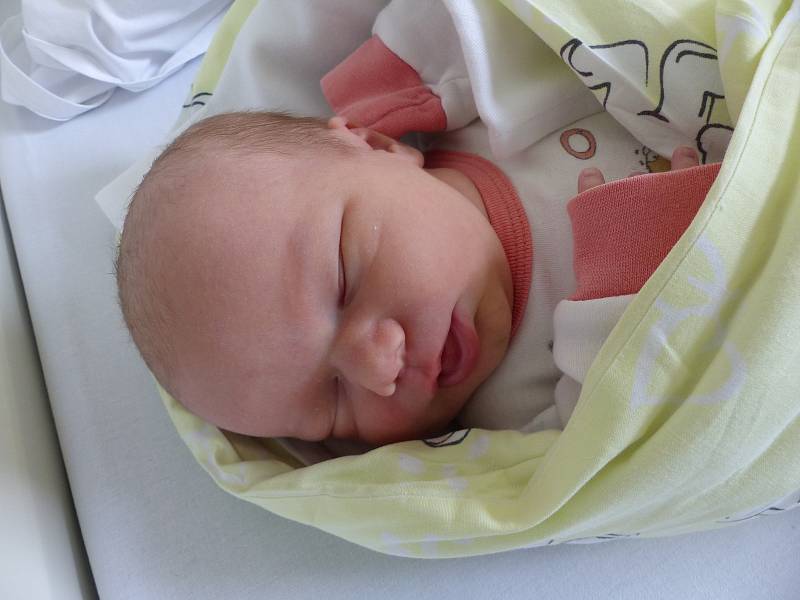 Amálie Salavcová se narodila 29. dubna 2020 v kolínské porodnici, vážila 3570 g a měřila 50 cm. Do Českého Brodu odjela se sestřičkami Karolínou (13), Adélou (6) a rodiči Marcelou a Václavem.