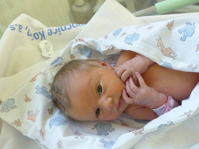 Victoria Mernova se narodila 25. listopadu 2022 v kolínské porodnici, vážila 2765 g a měřila 49 cm. V Kutné Hoře se z ní těší maminka Oksana a tatínek Vitalii.