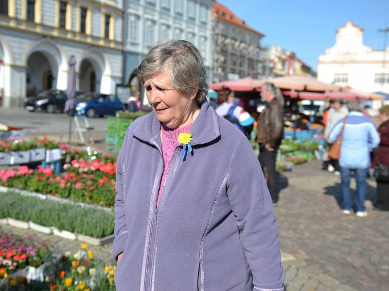 Koupí žluté květiny mohou opět lidé na mnoha místech republiky podpořit boj proti rakovině. Po Kolíně chodí několik dvojic slečen i mladých mužů, kteří květiny nabízí nejen v centru a okolí  náměstí.