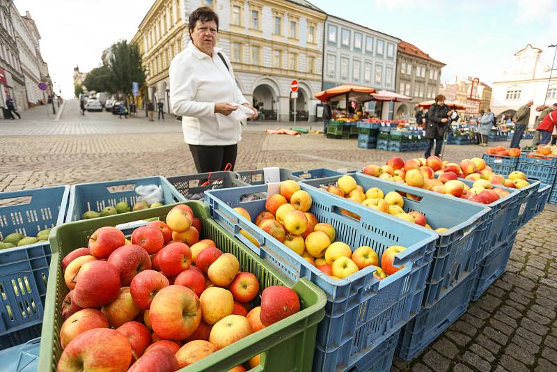 Trh na Karlově náměstí v Kolíně.