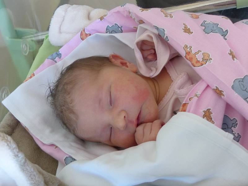 Karla Vocásková se narodila 5. ledna 2022 v kolínské porodnici, vážila 3675 g a měřila 52 cm. V Jestřabí Lhotě bude vyrůstat s maminkou Janou a tatínkem Petrem.