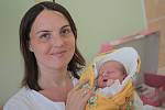 Aleksandra Emilia Dabrowska se narodila 28. června 2011 s výškou 47 centimetrů a váhou 2900 gramů. Rodiče Ilona a Robert si dceru odvezli do Kutné Hory. Tam se na ně těšil ještě osmiletý syn a bráška Karol.