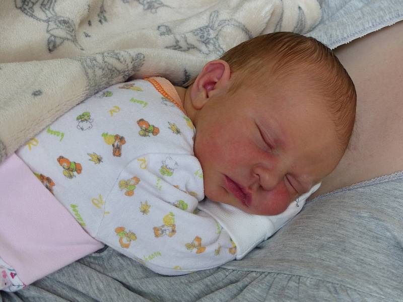Aneta Šantrůčková se narodila 4. června 2022 v kolínské porodnici, vážila 2980 g a měřila 49 cm. Do Červených Peček odjela s maminkou Veronikou a tatínkem Lukášem.