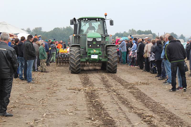 Starokolínská brázda 2017.