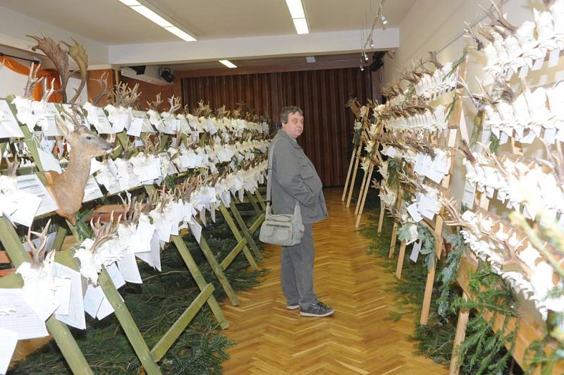 Výstava o životním prostředí odstartovala, láká děti i dospělé