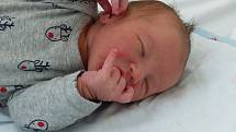 Tobias Vojtíšek se narodil 20.  března 2022 v kolínské porodnici, vážil 3840 g a měřil 51 cm. Ve Velimi se z něj těší sestřička Ella (3) a rodiče Bibiána a Petr.