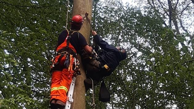 Záchrana ornitologa, který měl nehodu při kroužkování mláďat datla obecného na stromě v lese nedaleko Úval.