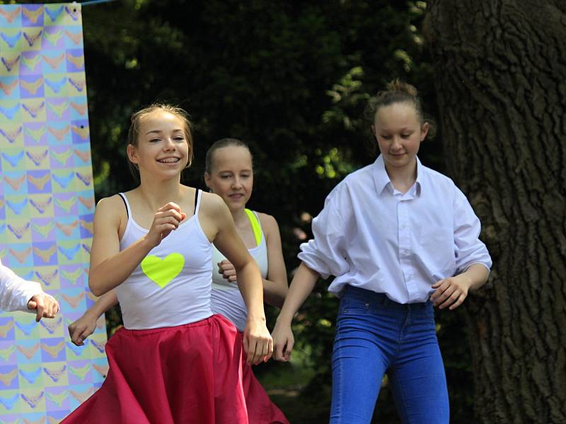 V sobotu se u pivovarského rybníka v Českém Brodě konal festival neziskových organizací.