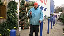 Prodej vánočních stromků a jmelí u hypermarketu Tesco v Kolíně.